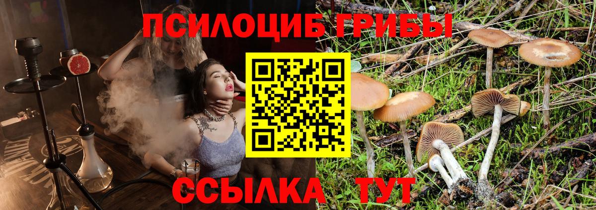 Галлюциногенные грибы Cubensis  Вход с VPN  Боровичи 